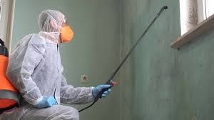 Best Mold Remediation for Healthcare Facilities  in Ocilla, GA